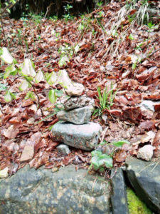 apilamos piedras en el camino