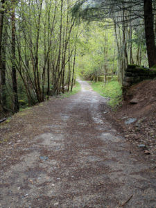 el paseo de los melancolicos