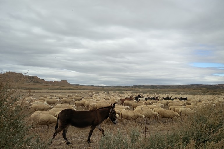 El ascenso a La Loma