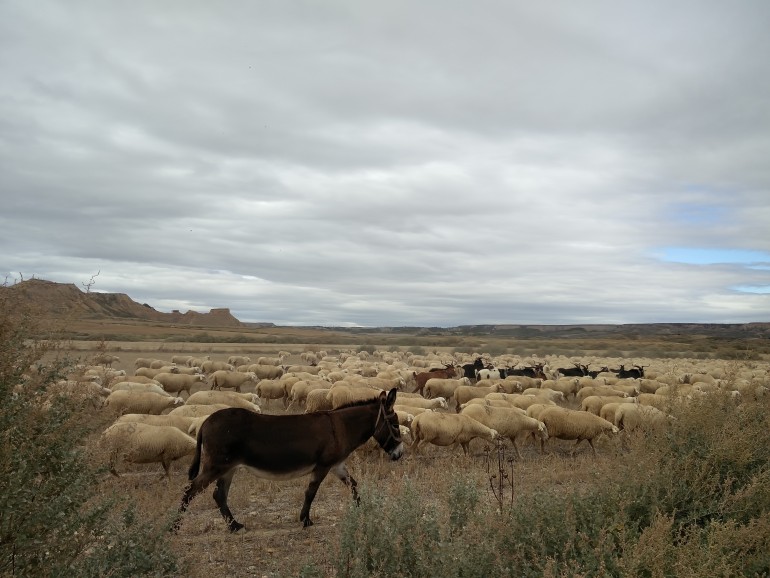 El ascenso a La Loma