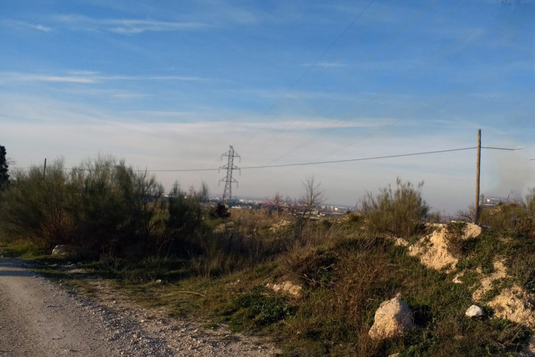 Voluntariado en Zarpa